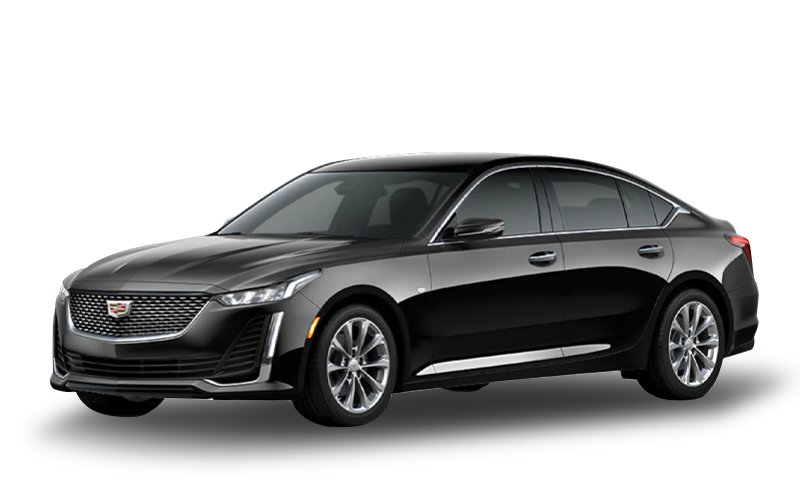 블랙 레이븐 익스테리어